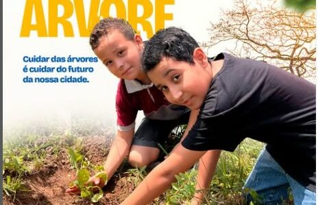 Dia da Árvore – 21 de setembro