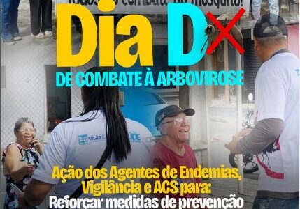 DIA D DE COMBATE ÀS ARBOVIROSES DIA D DE COMBATE ÀS ARBOVIROSES