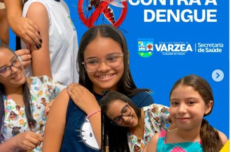 Dia de Vacinação contra a Dengue 
