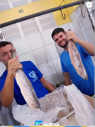 PEIXE NA MESA
