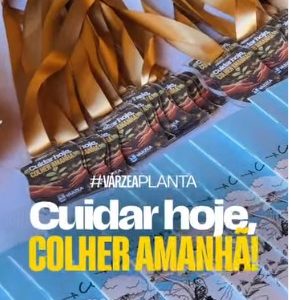 Cuidar hoje, colher amanhã! Cuidar hoje, colher amanhã!