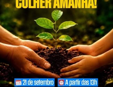 Várzea Planta: cuidar hoje, colher amanhã! Várzea Planta: cuidar hoje, colher amanhã!
