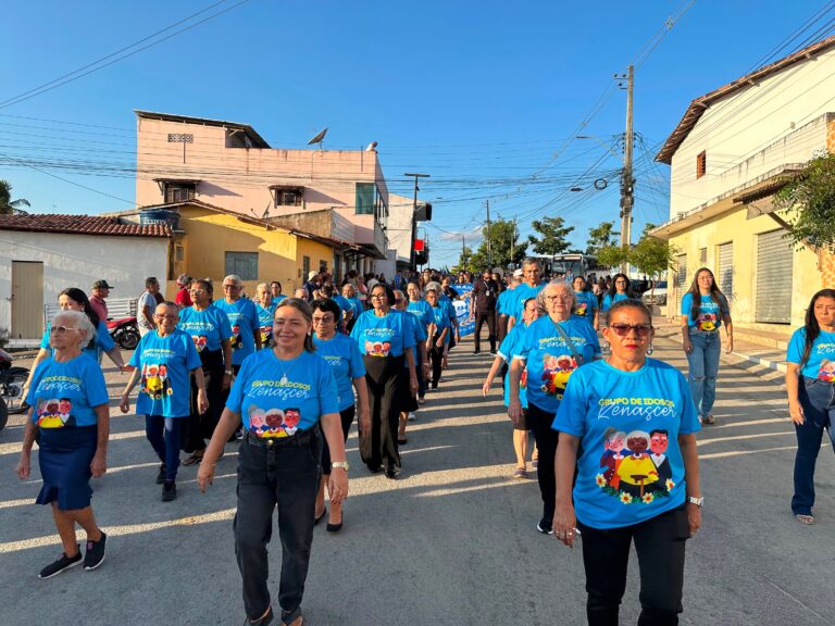 O civismo, o respeito e o amor pela nossa terra passaram pelas ruas de Várzea — foto 10